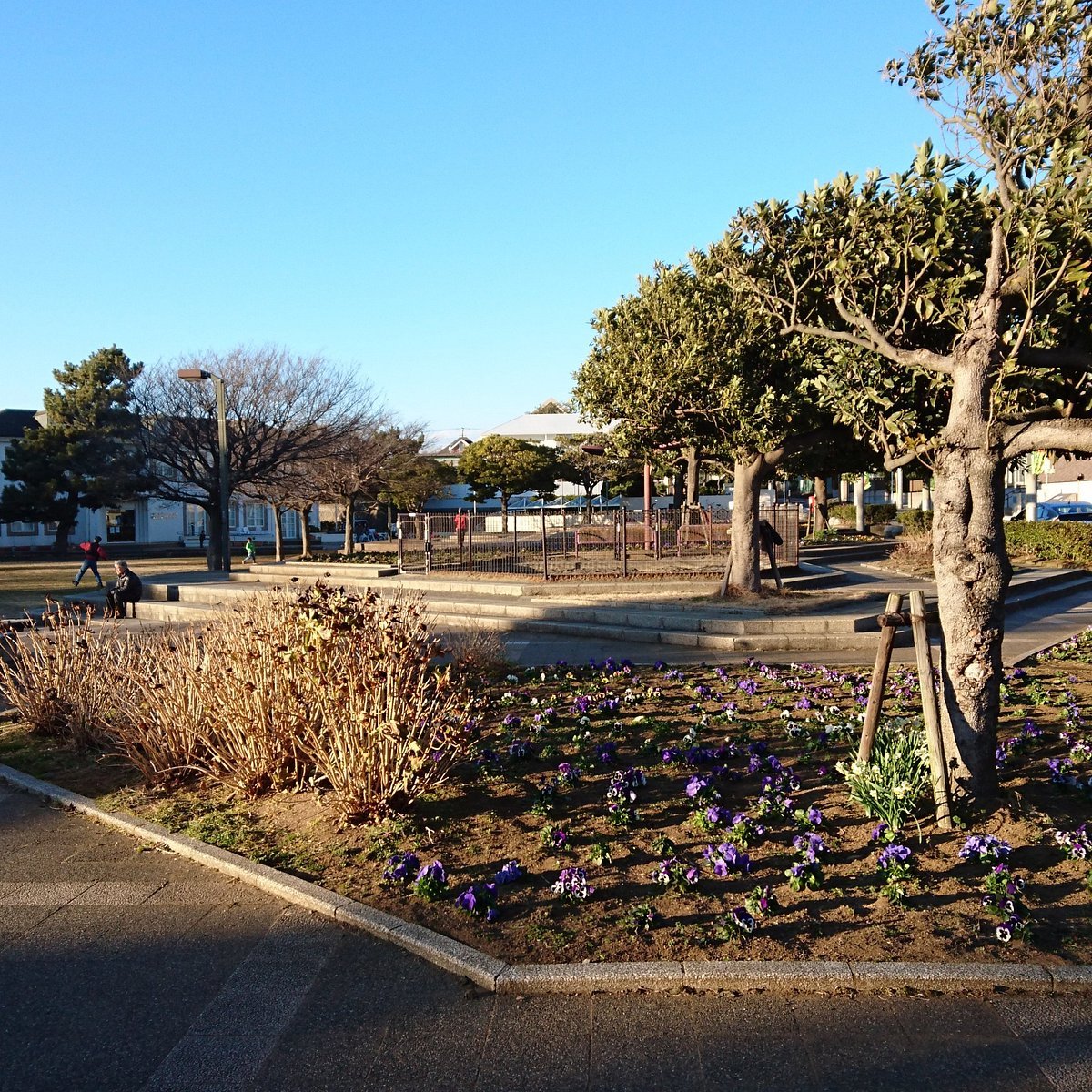 🏞️ 나데시코 공원(나데시코 코엔) 이미지 1